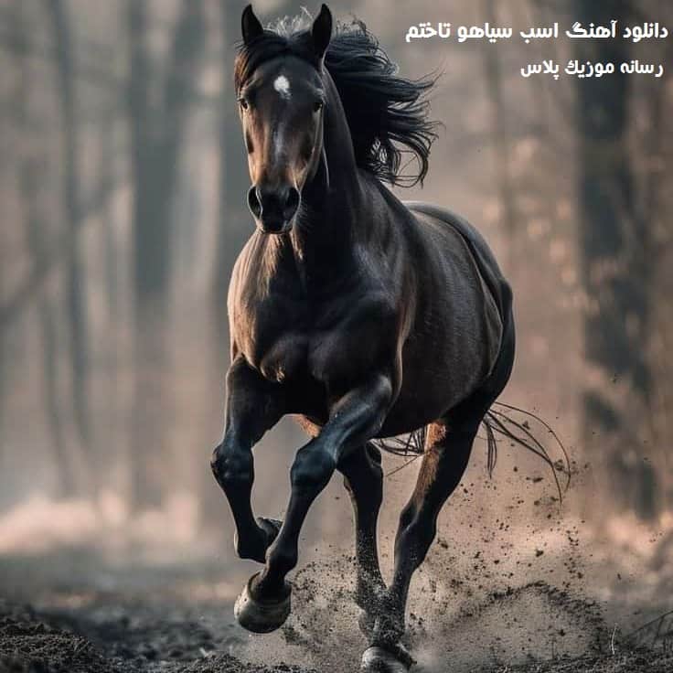 دانلود آهنگ اسب سیاهو تاختم دیشب قمارو باختم (تمام اجراها) دانلود آهنگ اسب سیاهو تاختم دیشب قمارو باختم (تمام اجراها)