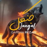 دانلود آهنگ گرشا رضایی جنگل دانلود آهنگ گرشا رضایی جنگل