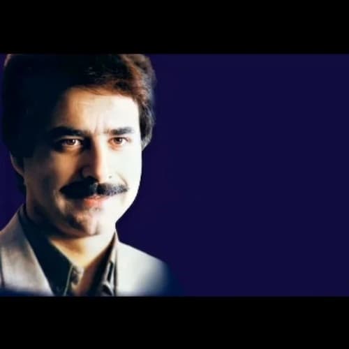 دانلود آهنگ علیرضا افتخاری بی بی جون
