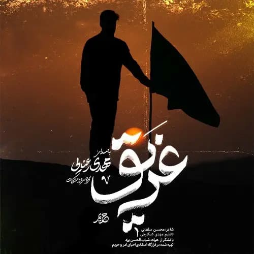 دانلود نماهنگ مهدی رعنایی غریق