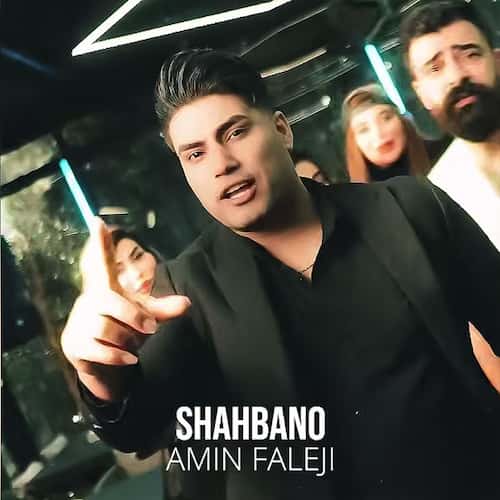 دانلود آهنگ امین فالجی شاه بانو