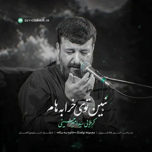 دانلود نماهنگ سید امیر حسینی نبین توی خرابه هام