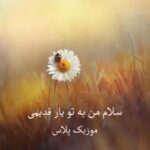 دانلود آهنگ بیکلام سلام من به تو یار قدیمی