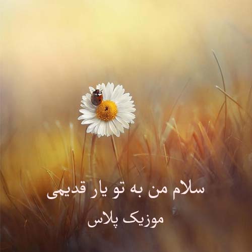 دانلود آهنگ بیکلام سلام من به تو یار قدیمی دانلود آهنگ بیکلام سلام من به تو یار قدیمی