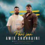 دانلود آهنگ امیرحسین شهرآیینی ﭘﺮی ﺟﺎن