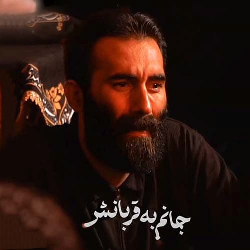 دانلود نماهنگ مهرداد ملکی غریب بی محلی ها