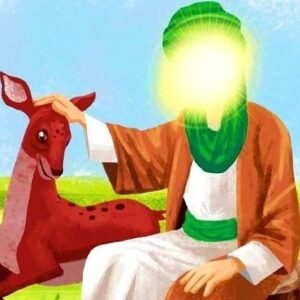 دانلود صلوات خاصه امام رضا صوتی کودکانه دانلود صلوات خاصه امام رضا صوتی کودکانه