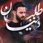 دانلود نماهنگ وحید شکری دنیا طلبان