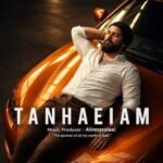 دانلود آهنگ علیرضا ولایی تنهاییام