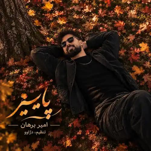 دانلود آهنگ امیر برهان پاییز دانلود آهنگ امیر برهان پاییز